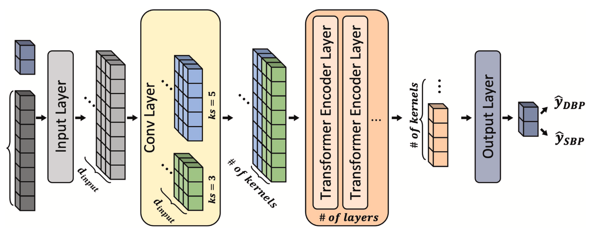 Robust Optimization for PPG-based Blood Pressure Estimation